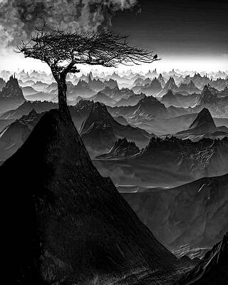 Tree Above Mountain Peaks Photograph