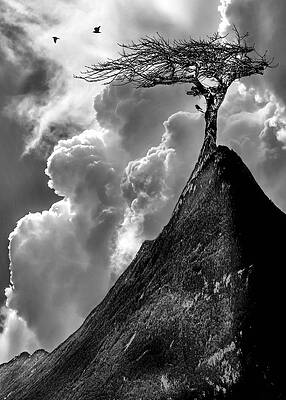 Nature's Dramatic Peaks Photograph