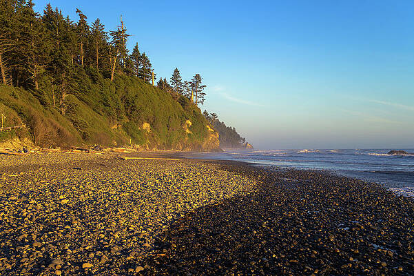 Wall Art featuring the photograph Pebble Shoreline And Forested Cliffs At Ruby Beach, Washington State by Miroslav Liska