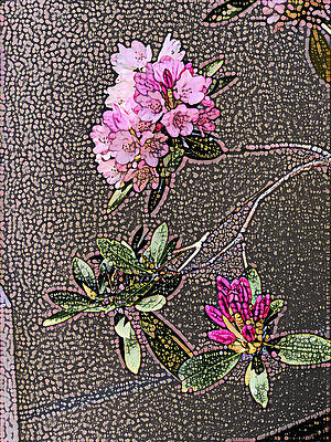 Wall Art featuring the photograph Pebbles And Flowers by Juliette Becker