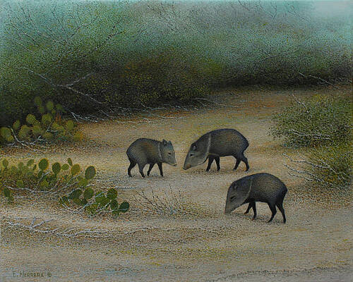 Wall Art featuring the painting Peccaries by Eleazar Herrera