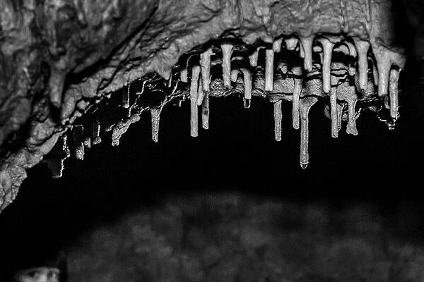 Moody Photograph - Peek-a-Boo-Boo by David Fountain
