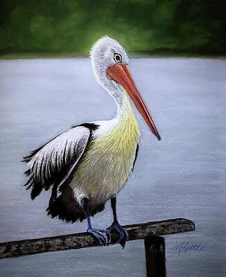 Wall Art featuring the drawing Pelican by Marlene Little