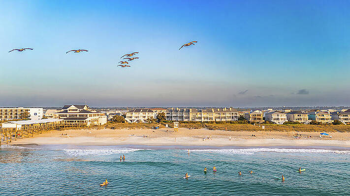 North Carolina Wall Art featuring the photograph Pelican View by Oceanic SkyView