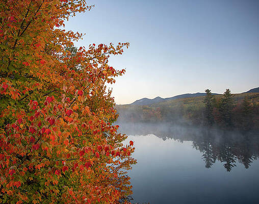 Wall Art featuring the photograph Penobscot River In Autumn by Dan Sproul
