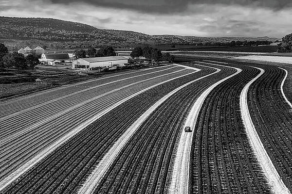 Country Photograph - Perfect Symmetry Farm BW by Susan Candelario