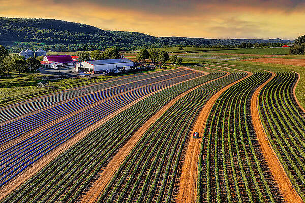 Country Photograph - Perfect Symmetry Farm by Susan Candelario