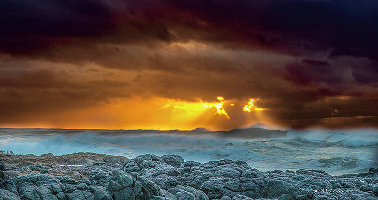 Sunset Wall Art featuring the photograph Perpetua Head Sunset by Michael DeGrenier