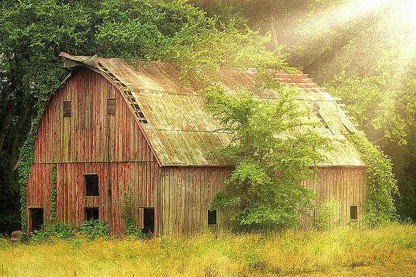Landscape Wall Art featuring the photograph Peruque Creek Barn Light Leak by Bill and Linda Tiepelman
