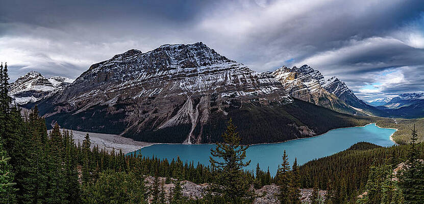Photograph - Peyto Lake Icefield Parkway Alberta Canada by Tommy Farnsworth