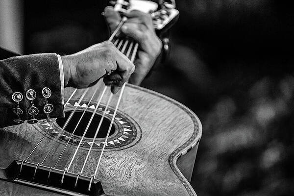 Wall Art featuring the photograph Picking The Strings by KC Hulsman