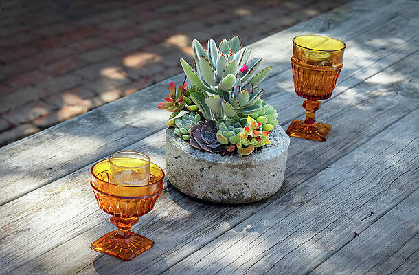 Wall Art featuring the photograph Picnic In The Shade by Gina Fitzhugh