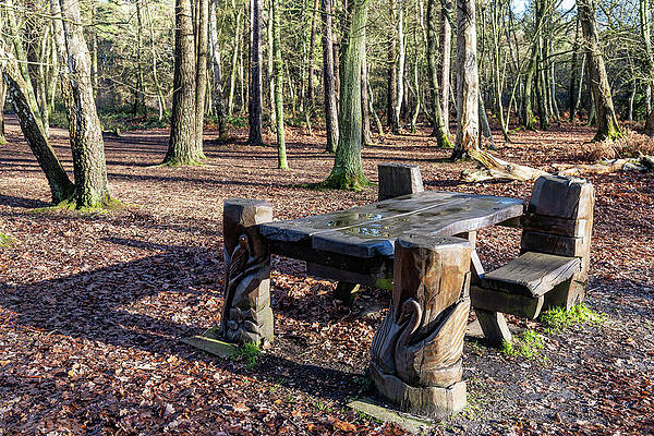 Woodland Carved Bench and Table Wall Art