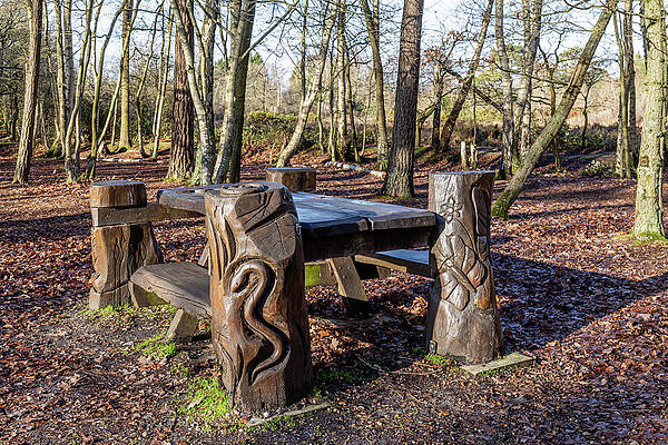 Carved Wooden Picnic Bench in Forest Wall Art