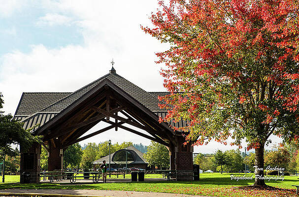 Oregon Wall Art featuring the photograph Picnic Shelter And Fall Maple In Salem by Tom Cochran