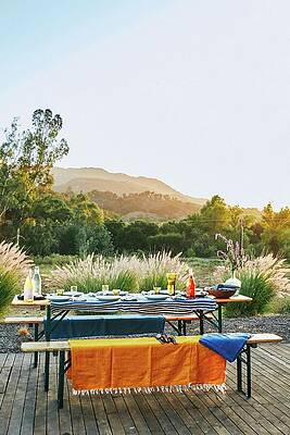 Picnic Table Set For Dinner Print