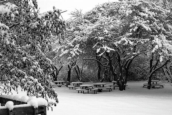 Wisconsin Photograph - Picnic Under Snow Branches by Deb Beausoleil