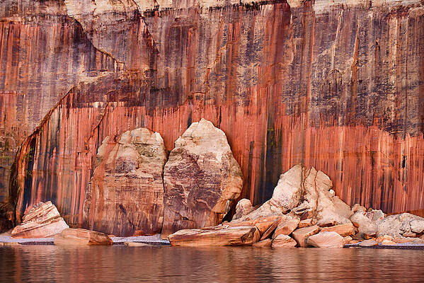 Summer Photograph - Pictured Rocks Cliff by Michael Collins