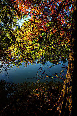 Atlanta Wall Art featuring the photograph Piedmont Park Fall Foliage - Atlanta, GA by Anthony Hightower