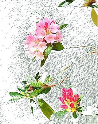 Wall Art featuring the photograph Pink Coral Flowers by Juliette Becker