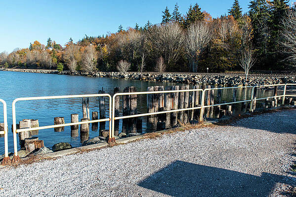 2023 Photograph - Pilings Protected by Tom Cochran