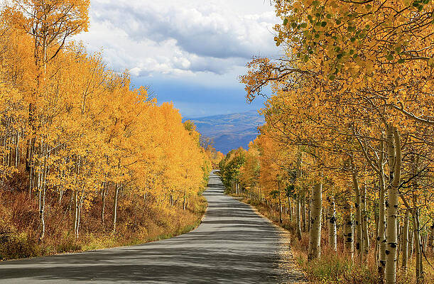 Utah Wall Art featuring the photograph Pine Canyon Drive by Dawn Richards