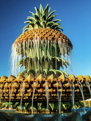 South Carolina Photograph - Pineapple Fountain Charleston by Louis Dallara