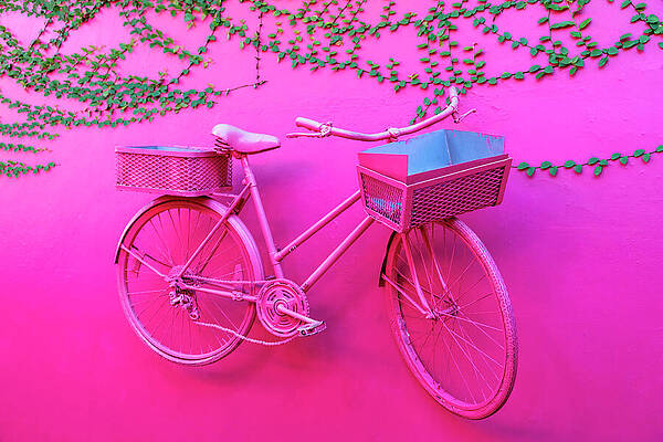 Pink Bicycle on Vibrant Wall Wall Art