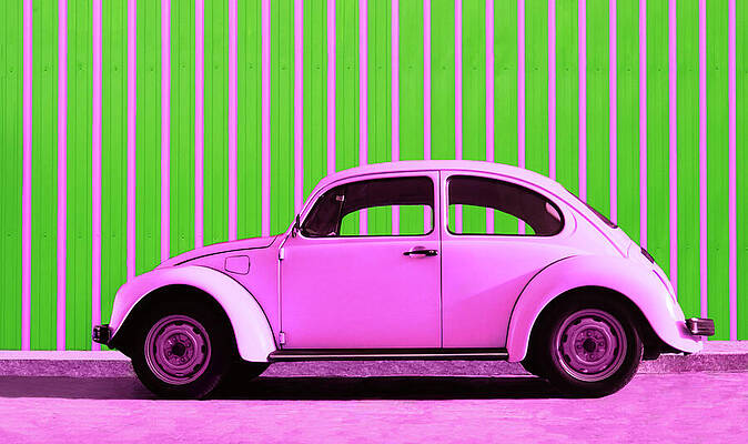 Happy Wall Art featuring the photograph Pink Bug by Laura Fasulo