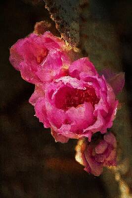 Mixed Media - Pink Cactus Flowers - Digital Art by Tatiana Travelways