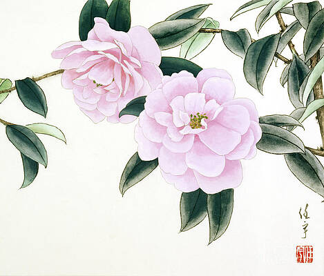 Garden Painting - Pink Camellias V by Ren Yu