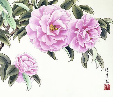 Garden Painting - Pink Camellias III by Ren Yu