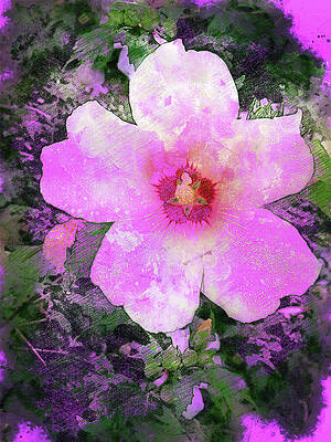Vibrant Wall Art featuring the digital art Pink Common Hibiscus Flower - Digital Painting by Nicko Prints