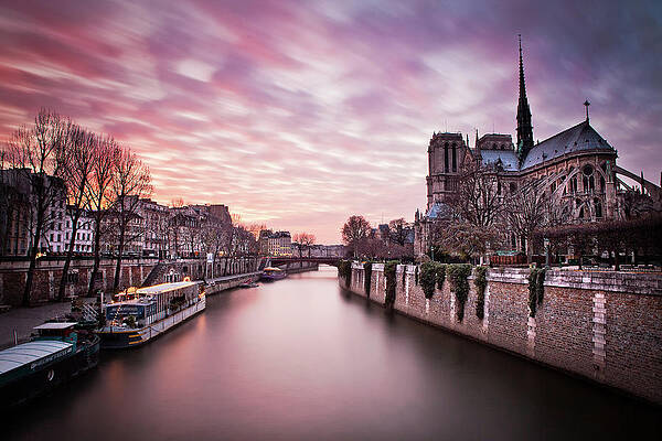 Notre Dame at Pink Sunset Wall Art