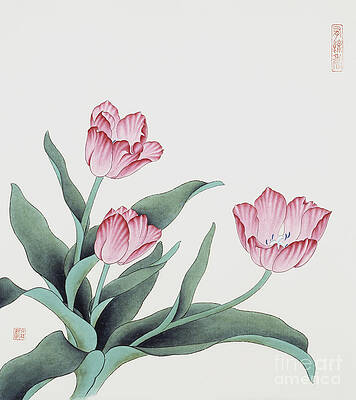 Garden Painting - Pink Tulip II by Da Mei and Wen Lin