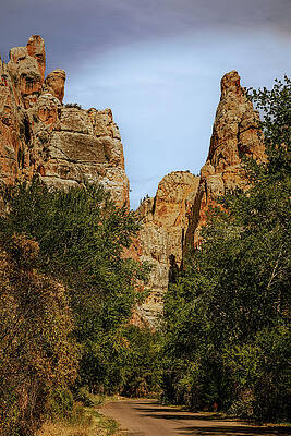 Utah Wall Art featuring the photograph Pinnacled Pathway by Tim Lyden