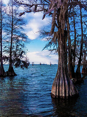 Sky Wall Art featuring the photograph Pinopolis Point by Louis Dallara