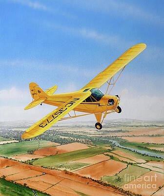 Airplane Wall Art featuring the painting Piper J-3 Cub by Steve Ferguson