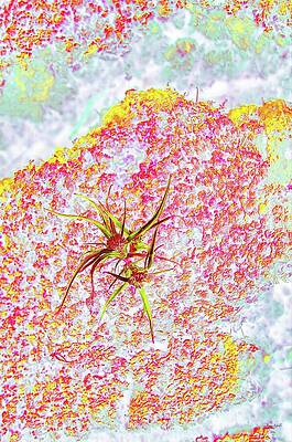 Wall Art featuring the digital art Plant Growing Out Of Dried Mud by Bruce Block