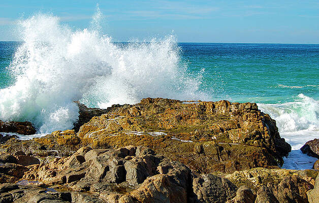 Mexico Photograph - Playa Milagro, Los Cabos by William Scott Koenig