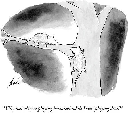 Wildlife Drawing - Playing Dead by Tom Toro