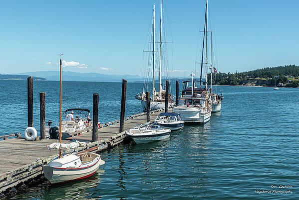 Sailboats Docked by a Scenic Harbor Photograph