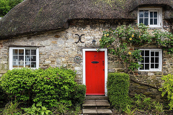 Wall Art featuring the photograph Plum Tree Cottage by Shirley Mitchell