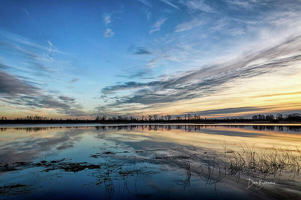 Wildlife Photograph - Pocosin Magnificence #5984 by Dan Beauvais