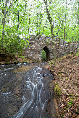 Serene Wall Art featuring the photograph Poinsett Bridge 4 by Cindy Robinson