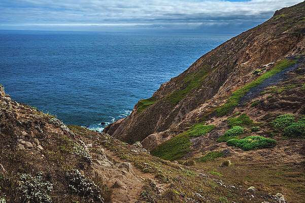 California Photograph - Point Reyes Hills, California by Abbie Warnock