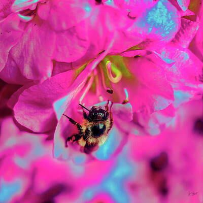 Colorful Wall Art featuring the digital art Pollinating Bee by Bruce Block