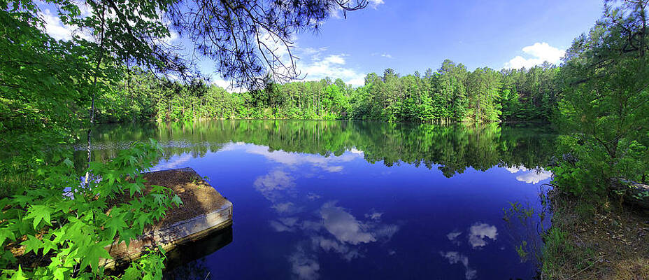 Newberry Wall Art featuring the photograph Pomaria Quarry by Brian Hare