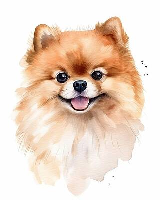 Happy Pomeranian Puppy Portrait Painting