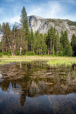 California Wall Art featuring the photograph Pond Reflection Of Half Dome by Diane Moller